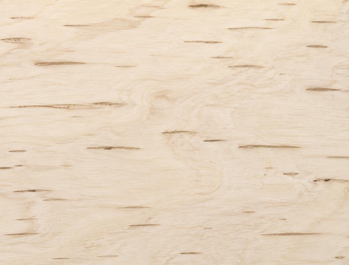 Close-up of creamy birch wood grain